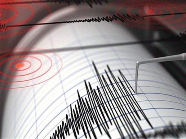 زلزال بقوة 8.1 يضرب نيوزيلندا