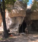بالفيديو: غوريلا تطارد امرأتين بحديقة حيوانات