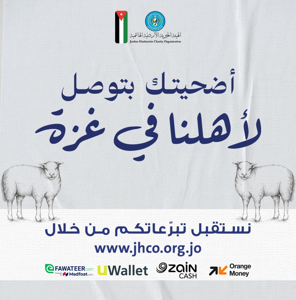 الهيئة الخيرية:ثمن الأضحية بالأردن 218 دينارا وبالخارج 148