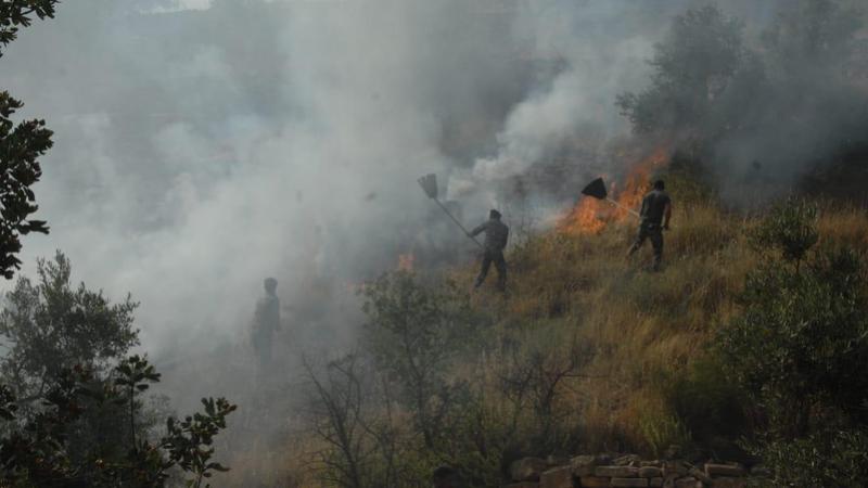 الدفاع المدني: السيطرة على حريق أعشاب جافة في منطقة بيرين.. ولا إصابات