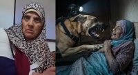 كلب بوليسي تابع للاحتلال الإسرائيلي يهاجم مسنة في جباليا بغزة وهي نائمة (فيديو)