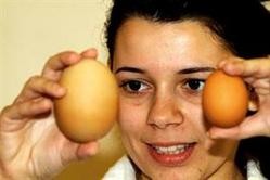 لبنان: دجاجة تبيض أكبر بيضة في العالم بوزن 147 غرام