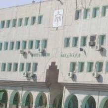 الزراعة تسمح بإدخال ذرة فاسدة عام 2008 لمستورد بضاعة سور