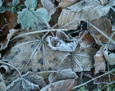 تحذير من موجة صقيع في الاردن ربما هي الأقوى في التاريخ الحديث