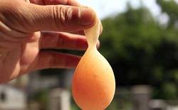 دجاجة في الصين تبيض بيضة مع ذيل!