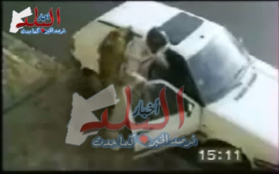 اخطر كلاب بوليسية في العالم  فيديو