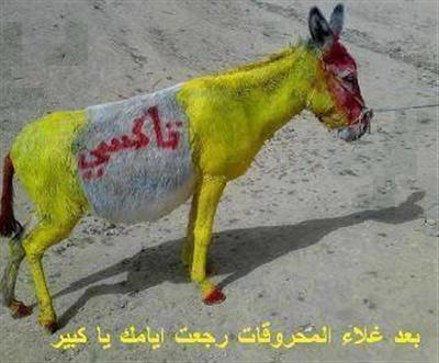 والله رجعت ايامك يا كبير