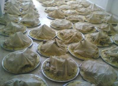 استيراد 150 طناً من الجميد السوري والتركي لـمناسف الانتخابات