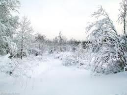 أمطار متفرقة غدا وزخات ثلجية الاثنين