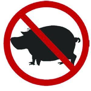 اول حالة وفاة لانفلونزا الخنازير لشاب اردني .. اليوم