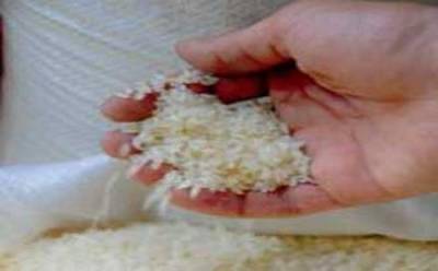  مكافحة الفساد  تحبط محاولة لمعالجة أرز فاسد