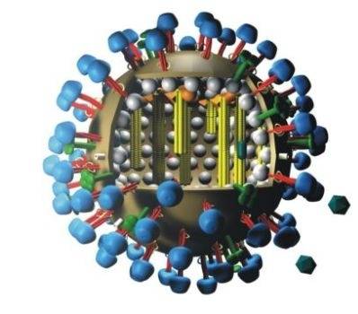 أرتفاع الإصابات بانفلونزا الخنازير الى 95