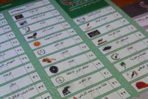 إرباك القوائم يحوّل بوصلة النواب إلى الدوائر المحلية