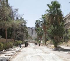 اتحاد المزارعين يجدد رفضه لإزالة 750 شجرة معمرة في ساحة القيادة العامة بالعبدلي