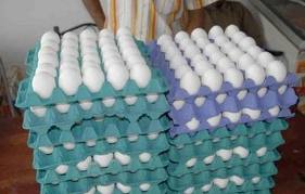 السماح باستيراد بيض المائدة من الخارج