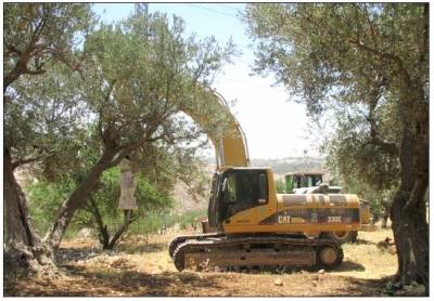 الحكومة تقتطع 30 دونماً من «البحوث الزراعية» لتوسعة مخيم البقعة