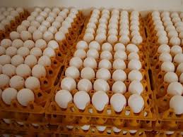 توحيد أسعار البيض اعتبارا من الجمعة