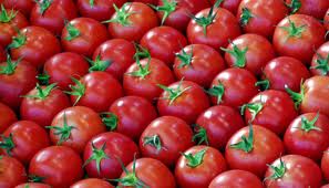 العراق يفتح حدوده أمام البندورة الأردنية