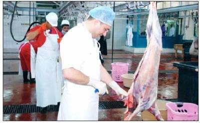 الزراعة تدرس إنشاء هيئة مستقلة جديدة للإشراف على المسالخ