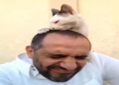 فيديو وفاء قطة يجذب اكثر من مليون ونصف مشاهد