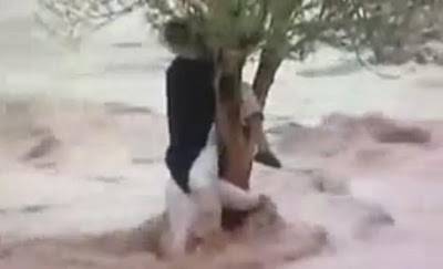 بالفيديو.. شاهد كيف أنقذت شجرة شابين من الغرق