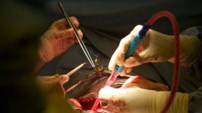 معلمة أمريكية تتبرع لتلميذتها بكليتها