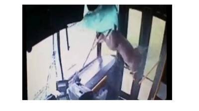 فيديو مذهل.. غزال يخترق الزجاج الأمامي لحافلة مسرعة