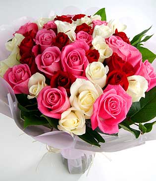 تهنئة من الاستاذ مراد عبدالعزيز المجالي