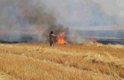 حريق يلتهم 150 دونم زراعي بالقرب من دوار الثقافة باربد