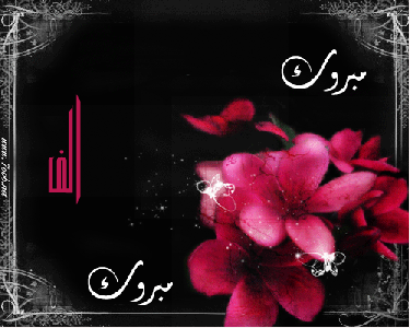 عيد ميلاد سعيد للغالية لين صفيرة