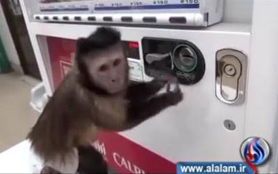 فيديو جمييل جدا.. قرد يشتري من آلة بيع مشروبات ويسترجع الباقي!