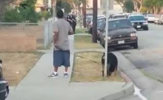 بالفيديو : رجال الشرطة قتلوا كلب حاول منعهم من اعتقال صاحبه