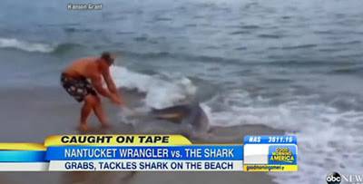 بالفيديو.. شاب  يصطاد سمكة قرش بيديه العاريتين