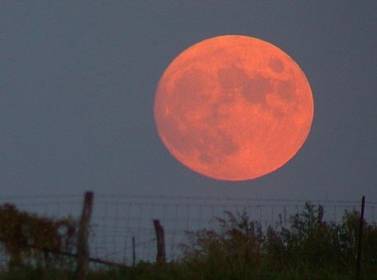 قمر الحصادين يشاهد في سماء المملكة مساء الأربعاء