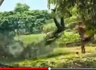 بالفيديو… تمساح يلتهم فتاة أمام صديقتها