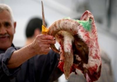 بيوت في غزة لا تدخلها اللحمة إلا في عيد الأضحى