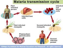 اعتصام عمال الملاريا قسم الامراض المشتركة والطفيلية وزارة الصحة
