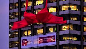 بالفيديو والصور : مين يشتريك.. للبيع اكبر حمالة صدر في العالم !!