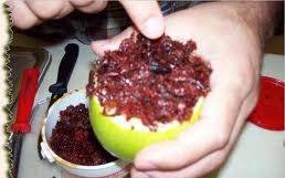 احذروا هذا المعسل في كوفي شوبات عمان