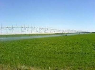 وزير الداخلية يطالب شركات الجنوب الزراعية بإخلاء المزارع والمباني بسرعة