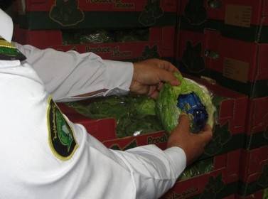 السعودية تضبط مخدرات داخل خس من الأردن