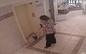 بالفيديو.. كلب يرفض ركوب المصعد .. شاهد ماذا حدث؟