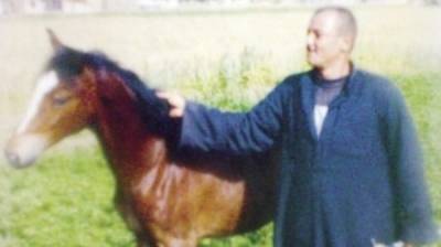 ظهور «دراكولا» فى الشرقية: جزار يشرب دماء الكلاب والحمير ويأكل لحومها نيئة