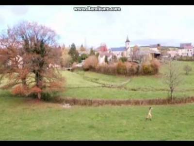 مذيعة فرنسية تتعرى على التلفزيون بعد وصول منتخب بلادها لكأس العالم