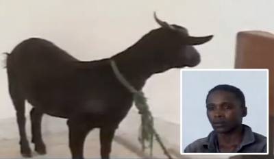 عنز ضحية اعتداء جنسي تواجه مغتصبها في المحكمة وتشهد على سجنه..صورة !