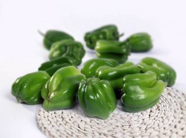 المفرق: ضبط 39 تنكة زيت مخلوطة بالفلفل الأخضر