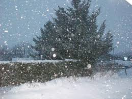 تواصل تساقط الثلوج حتى مساء الجمعة