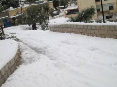 عجلونيون: محافظتنا منكوبة والثلج غمر المركبات