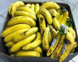 لص يبتلع سلسلة ذهب فتطعمه الشرطة 96 موزة لاستعادتها