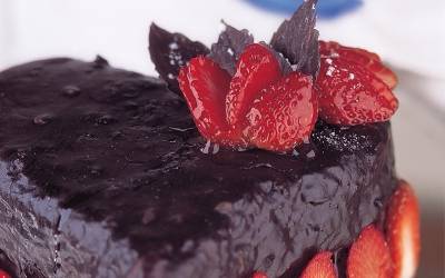 جاتوهاتي  اصبح مليونيراً